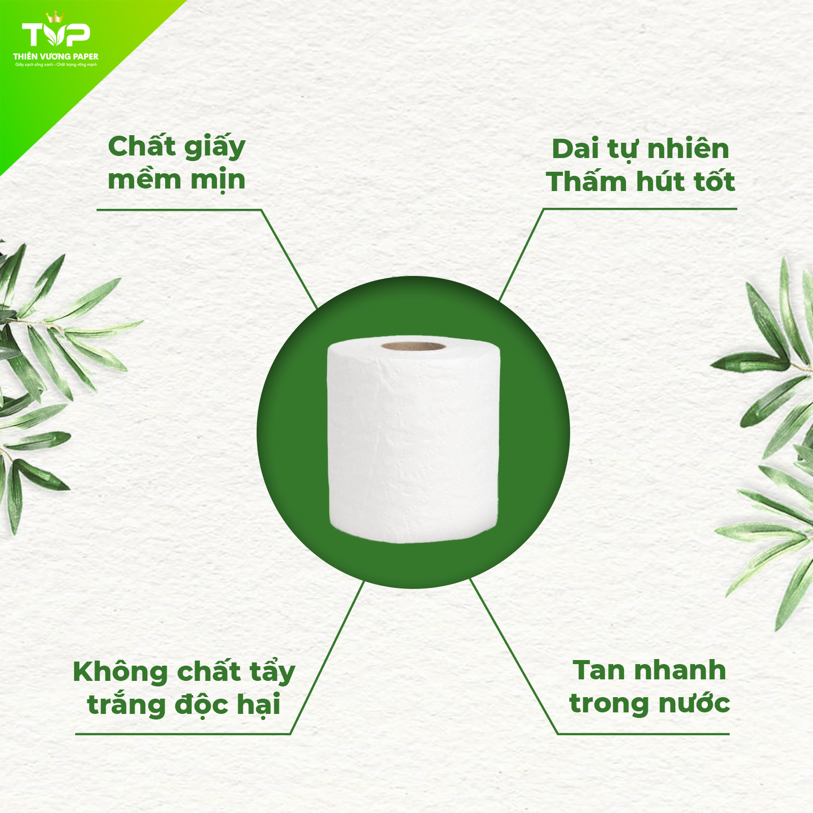 Giấy vệ sinh cat classic