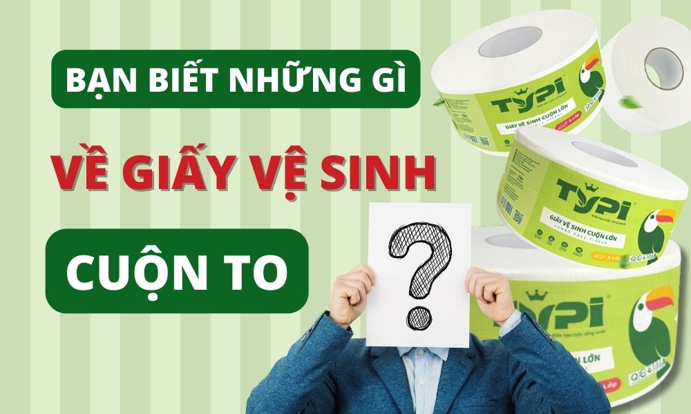 giấy vệ sinh cuộn to