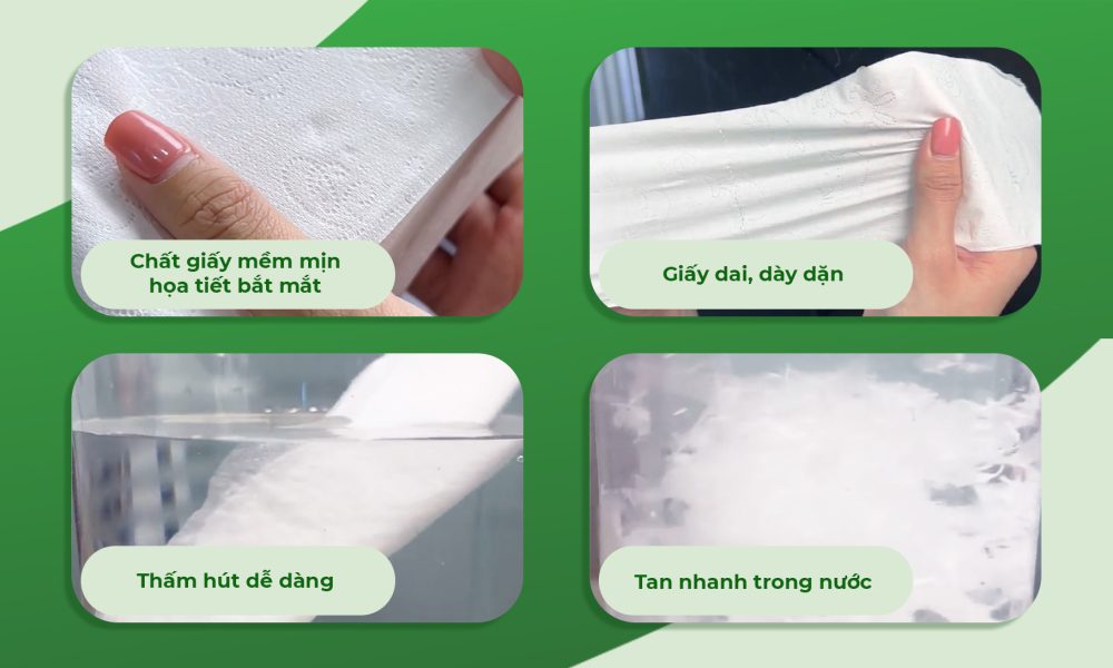 Chất lượng Giấy vệ sinh cuộn lớn Typi