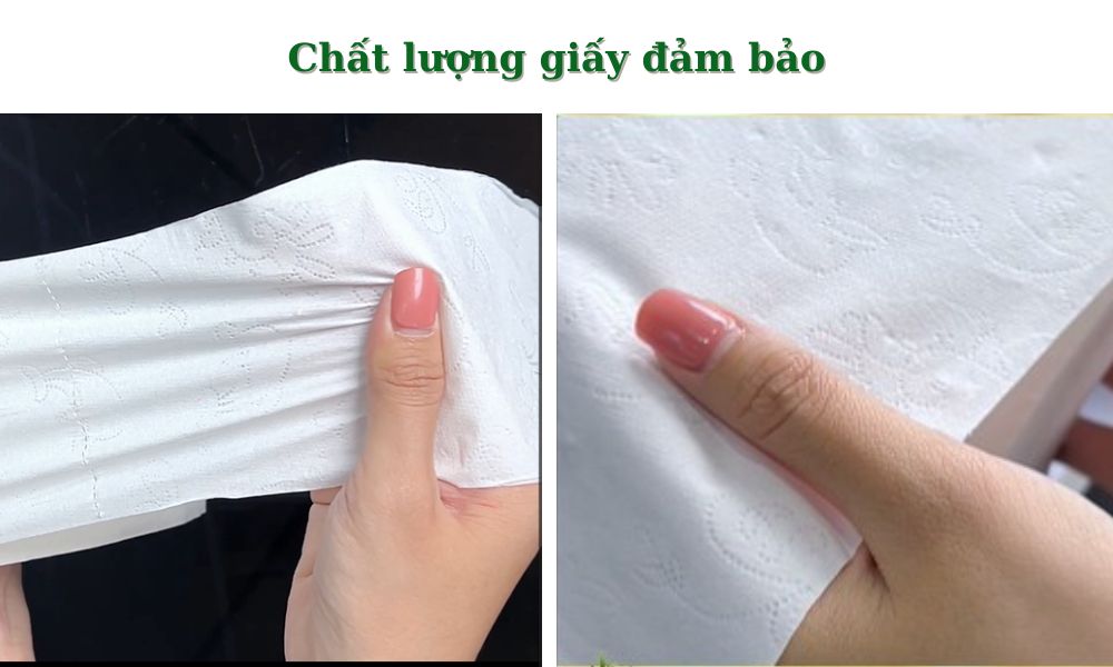 Giấy vệ sinh Hà Nội Silk làm từ 100% bột giấy ngyên sinh