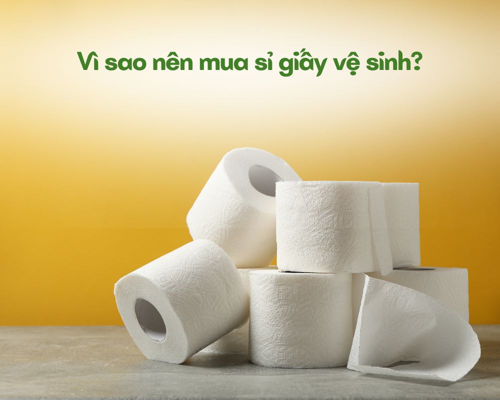 sỉ gấy vệ sinh