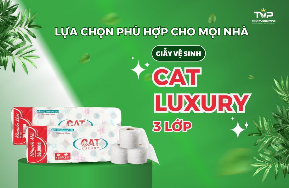 thương hiệu giấy vệ sinh cao cấp