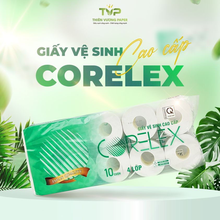 thương hiệu giấy vệ sinh