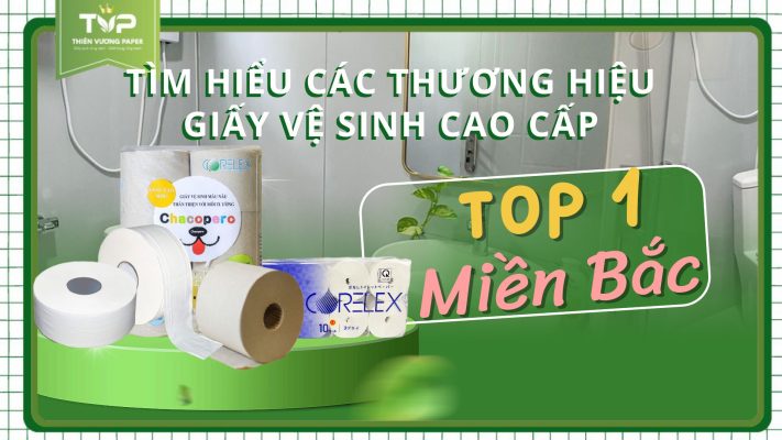 Thương hiệu giấy vệ sinh cao cấp