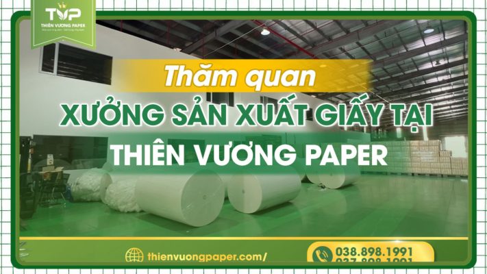 Thăm quan xưởng sản xuất giấy vệ sinh