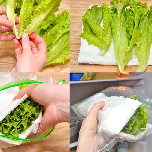 Khăn giấy khô dùng để bảo quản thực phẩm